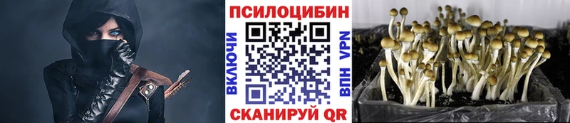 kraken маркетплейс  Курлово  Псилоцибиновые грибы GOLDEN TEACHER 
