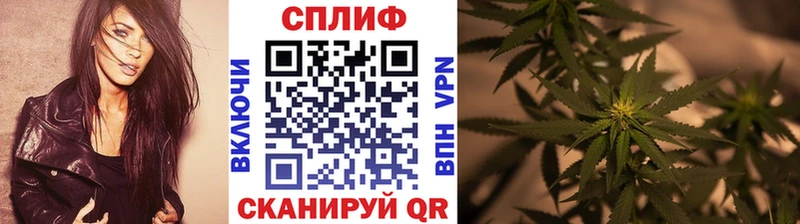 где можно купить наркотик  Курлово  Конопля семена 